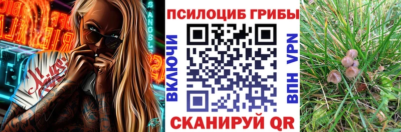 Галлюциногенные грибы Psilocybine cubensis  Орлов 